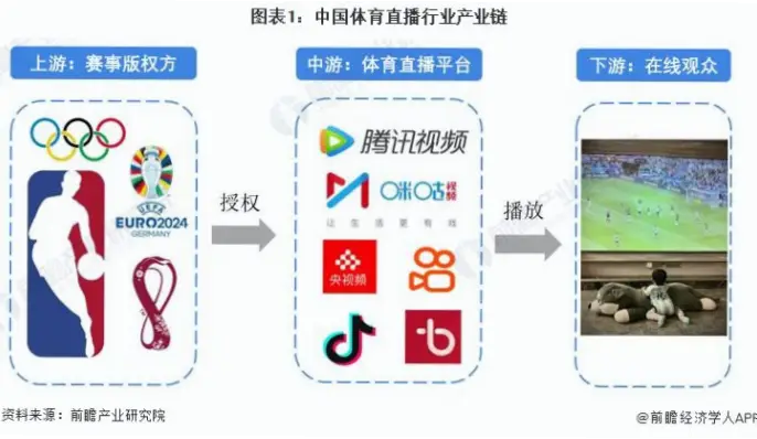 中国体育网直播支持哪些体育项目？