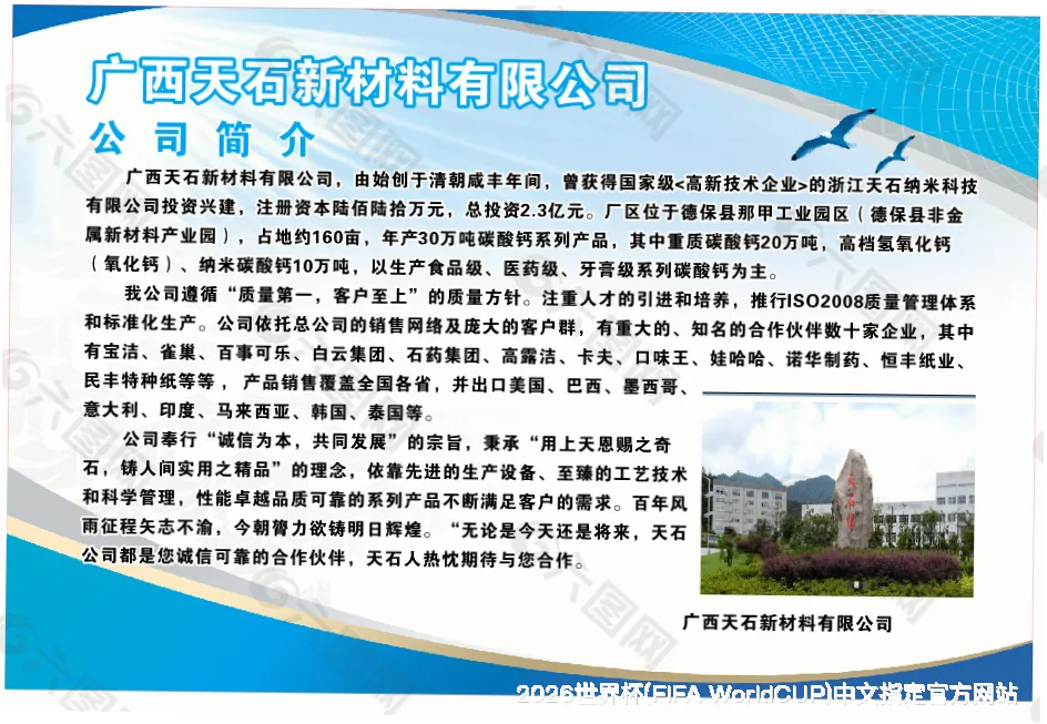 FIFA 中国平台介绍
